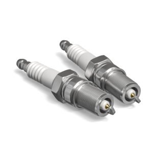 OceanJet Spark Plug Set